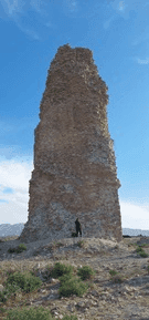 Picture3 - Copy.jpg Picture3 - Copy.jpg